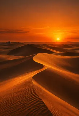 iPhone Duo amber desert wallpaper for the cover screen, Wind-carved desert dunes at sunset, amber light, long shadows, and a deep orange horizon. 1398x2034 px