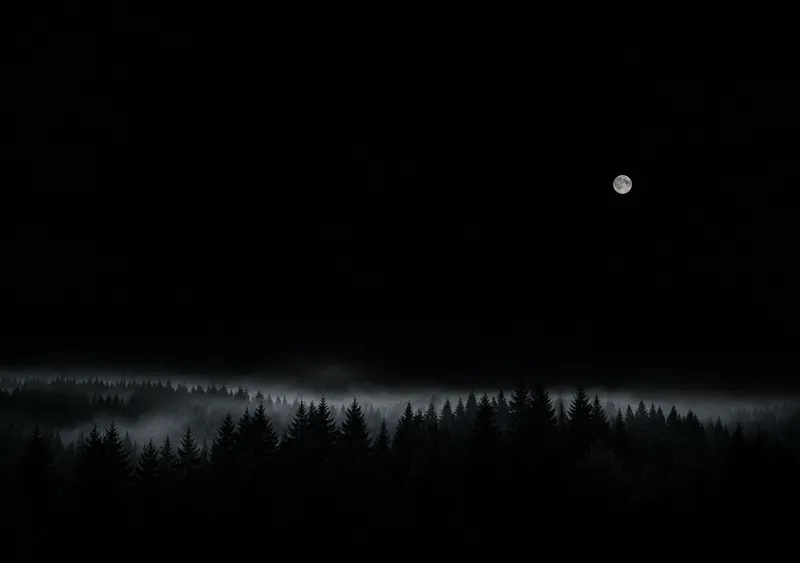 iPhone Duo AMOLED forest wallpaper for the inner display, a wide near-black pine forest under a small moon with large pure-black areas, 2670x1878 px