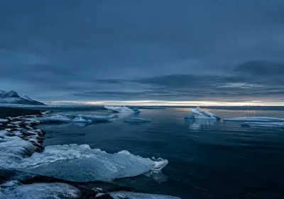 iPhone Duo arctic shore wallpaper for the inner display, An arctic shoreline at blue hour, dark water, pale ice blocks, and a low silver horizon. 2670x1878 px