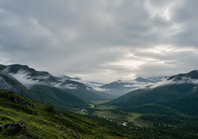 iPhone Duo emerald valley wallpaper for the inner display, A deep green valley after rain, low clouds caught between forested ridges, and a soft silver sky. 2670x1878 px