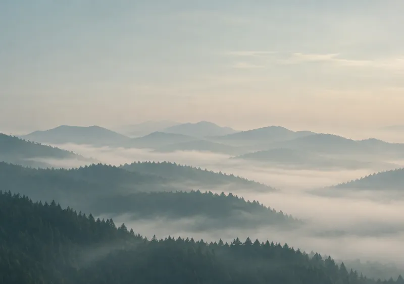 iPhone Duo misty pines wallpaper for the inner display, wide layered pine ridges fading into soft morning fog, 2670x1878 px