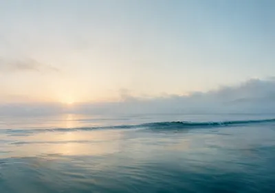iPhone Duo ocean mist wallpaper for the inner display, A calm ocean at dawn, soft fog over the water, a pale horizon, and a single distant wave line. 2670x1878 px