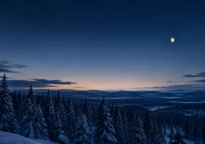 iPhone Duo winter pines wallpaper for the inner display, A snow-covered pine forest at dusk, deep blue shadows, a faint moon, and a narrow band of pale sky. 2670x1878 px